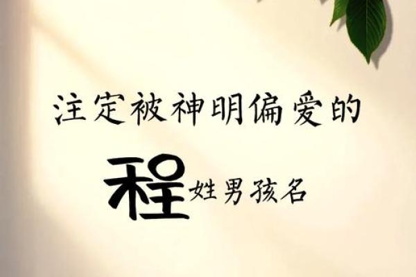 程姓男孩大气有涵养的名字(独特好听程姓男孩名字2021)