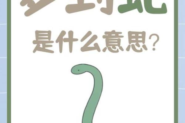 女人梦见好多蛇是什么预兆(女人梦见好多蛇是什么预兆还咬了老公和孩子)