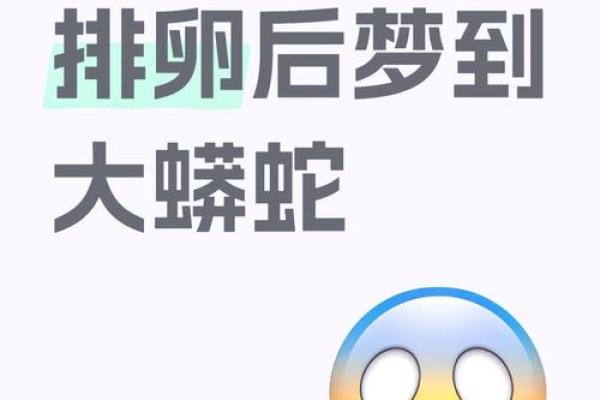 女人梦见好多蛇是什么预兆(女人梦见好多蛇是什么预兆还咬了老公和孩子)