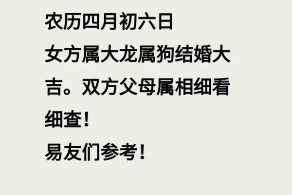 2个属狗的人结婚吉日