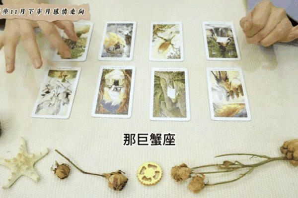 11月巨蟹座(11月巨蟹座最忌三个东西)
