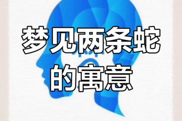 梦见蛇是什么预兆 女性(梦见好多蛇是什么预兆 女性)