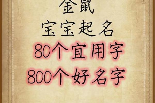 2020鼠宝宝女孩取名字大全免费(2020年鼠宝宝女孩起名大全)