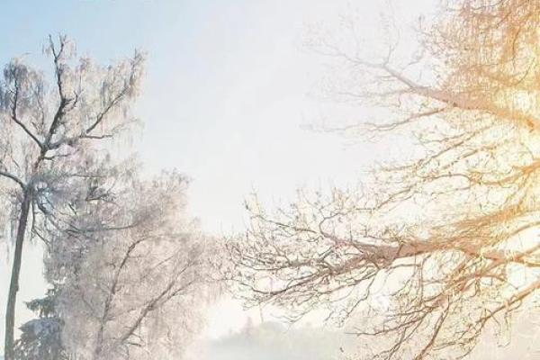 梦见下大雪是什么预兆(梦见下大雪是什么预兆解梦女性)