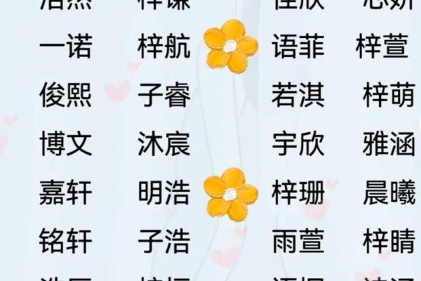 取名字大全女孩子(取名字女孩大全简单大气)