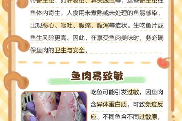 吃鱼(吃鱼油有哪些好处和坏处)