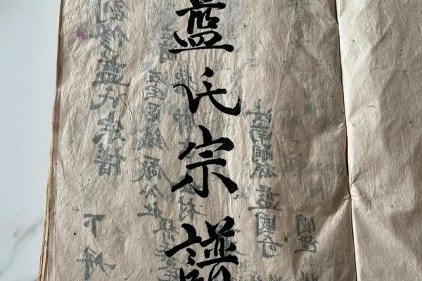蓝姓女孩名字优雅大气(蓝姓女孩名字优雅大气诗经)