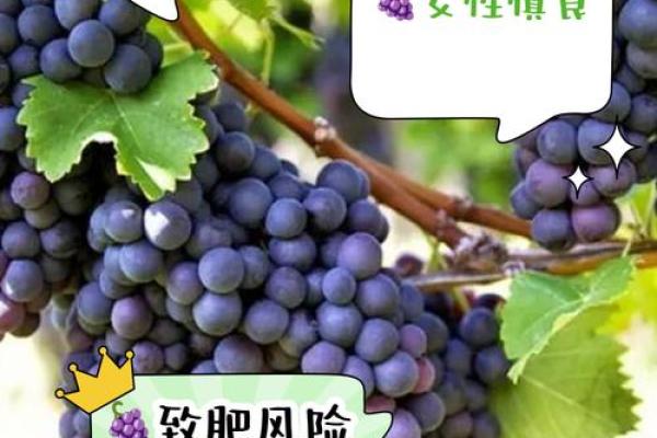 梦见吃葡萄是什么意思 周公解梦(梦见吃葡萄是什么意思 周公解梦工作人员)