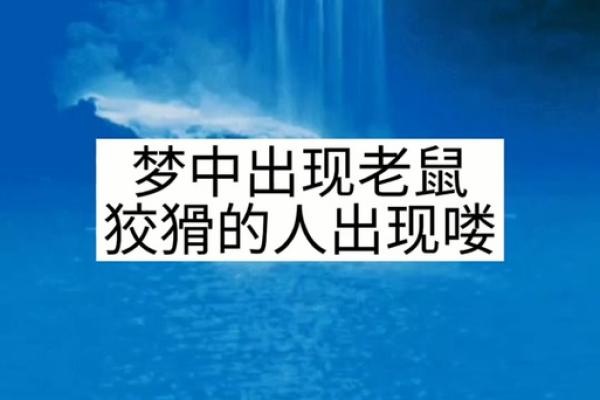 梦见手机丢了是什么预兆解梦(梦见手机丢了是什么预兆解梦哭)