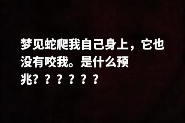 梦见手机丢了是什么预兆解梦(梦见手机丢了是什么预兆解梦哭)