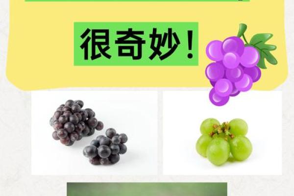 梦见吃葡萄(梦见吃葡萄什么征兆)