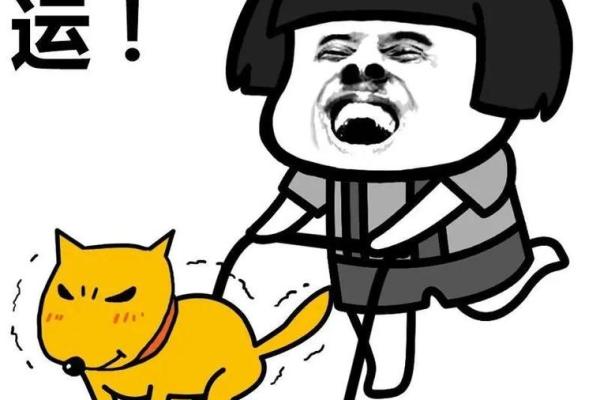 梦见踩到屎是什么预兆(梦见踩到屎是什么预兆)