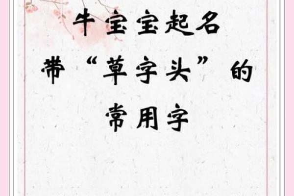草字头的字女孩名字有哪些(草字头的字女孩名字有哪些好听)