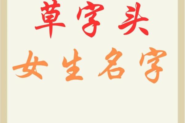 草字头的字女孩名字有哪些(草字头的字女孩名字有哪些好听)
