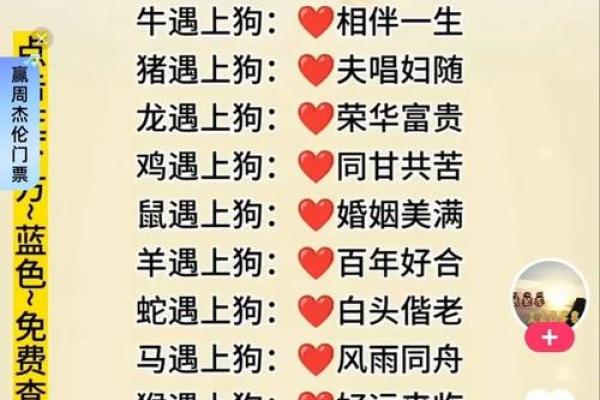 都说梦到自己结婚会死(都说梦到自己结婚会死做梦梦到狗生小狗)
