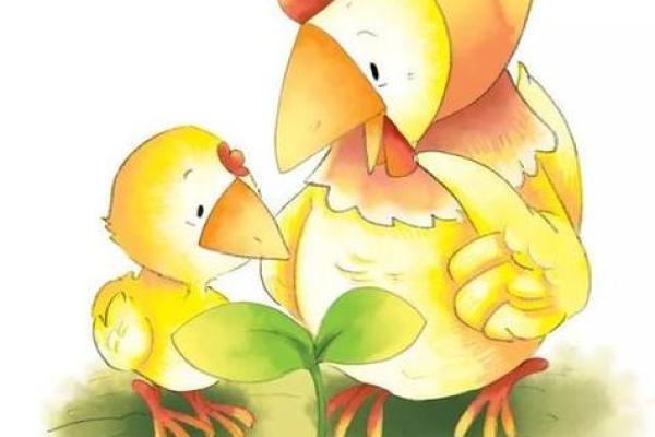 梦见鸡是什么预兆(梦见鸡是什么预兆)