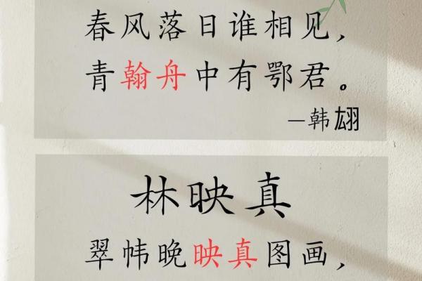 林姓取名字大全女孩(林姓取名字大全女孩子)