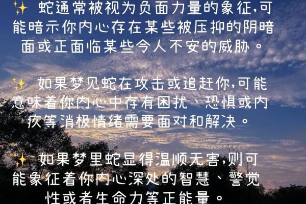 女人梦见好多条蛇预示着什么(女人梦见很多条蛇会怀孕吗)