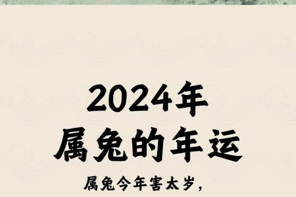 2025年3月份生肖兔乔迁好吉日分享(2025年兔年不宜生子的属相)
