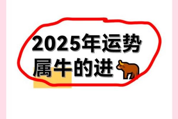 2025虎牛结婚吉日(牛在虎年结婚)