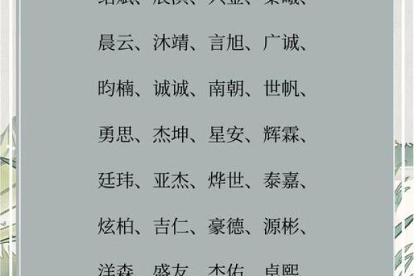 胡氏男孩起名字大全(胡姓男孩取名大气名字)