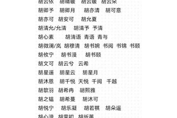 胡氏男孩起名字大全(胡姓男孩取名大气名字)