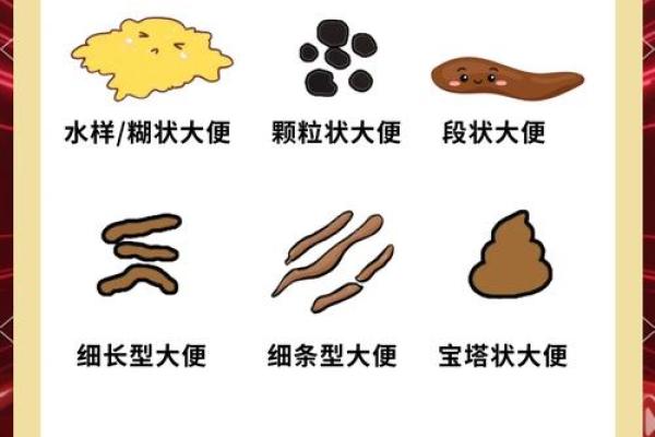 梦见大便沾身上什么意思(梦见大便沾身上什么意思女性解梦)