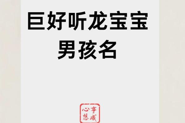 起名字大全免费男孩(起名字大全免费男孩小名龙年)