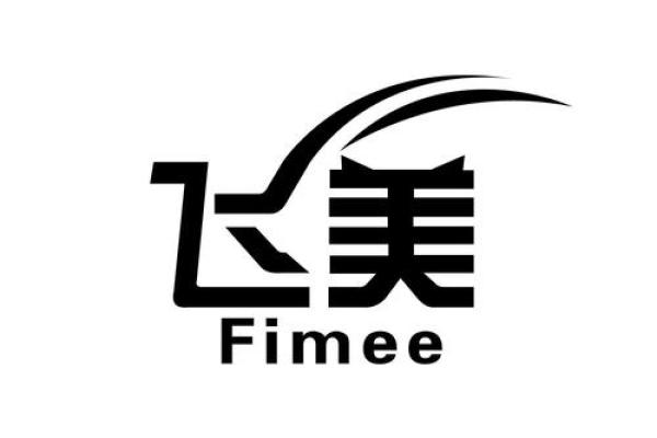 飞字公司起名(飞字公司名字)