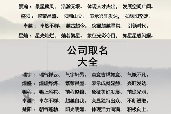 公司起名的字(公司起名字大全)