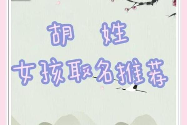 胡姓女孩大气有涵养的名字(胡姓女孩大气有涵养的名字带春)