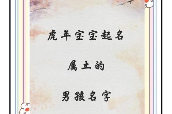 提土旁的男孩名字大全(提土旁小名)