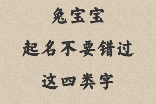 男孩起名字大全免费(男孩起名字大全免费2024年属兔)