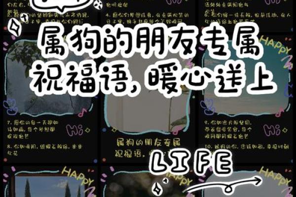 1995年属狗的结婚吉日(95年的狗婚配什么属相)