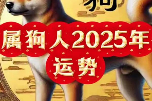 2025年生肖狗适合安门的好日子推荐_2025年属狗人的全年运势详解(2025年生肖运势详解)