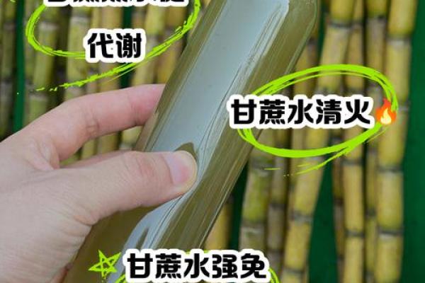 梦见甘蔗是什么预兆(梦见甘蔗是什么预兆带尾)