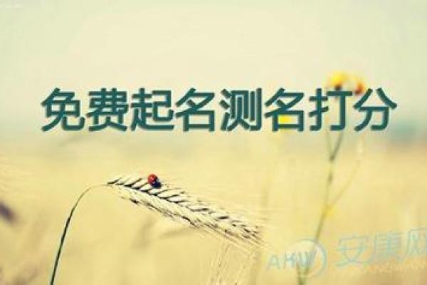 公司名称测吉凶免费测试(公司名吉凶免费测试)