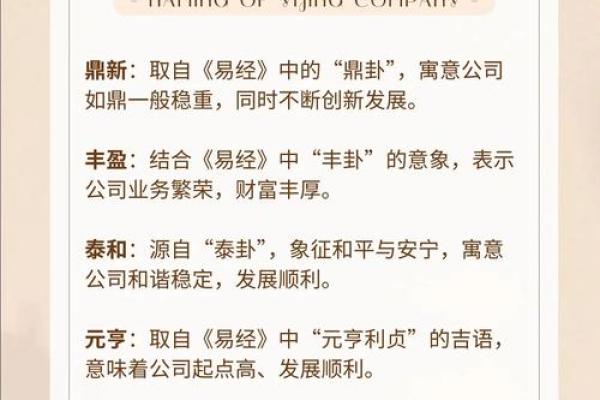 公司取个什么名字好听(公司取什么名字吉利)