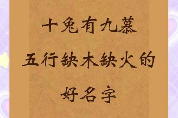 87年属兔炉中火公司取名(87年属兔的炉中火命,适合做什么行业)