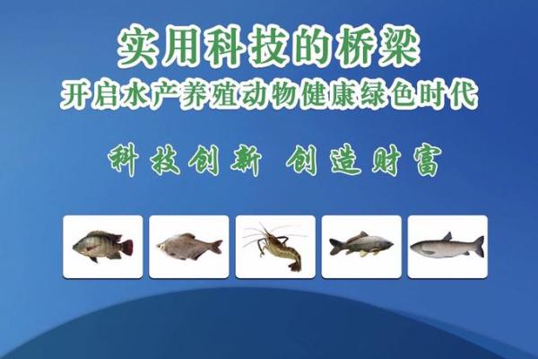 水产公司取名字大全(水产公司取名字大全集渔)