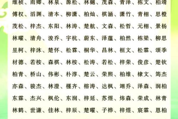 公司名字五行属木最吉利的字(公司起名五行属木的有哪些)
