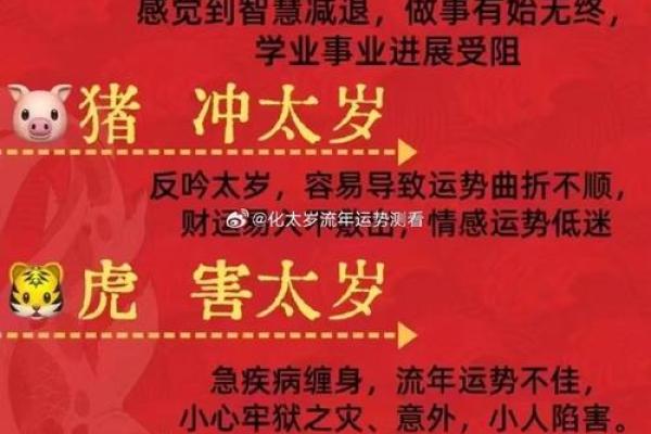 2025马狗结婚吉日(属马属狗结婚今年有日子吗)