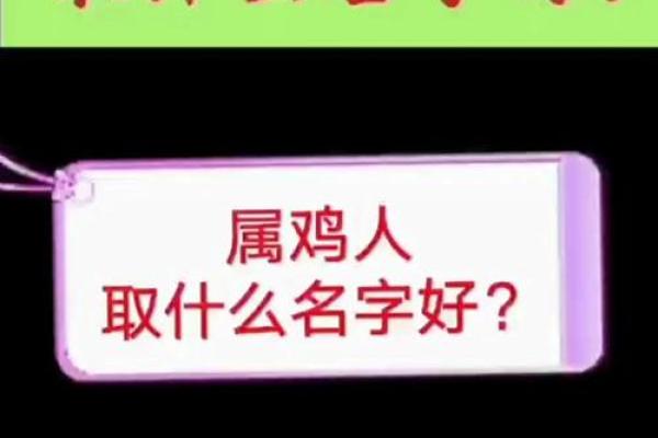 属鸡的注册公司有什么名字好(属鸡的开公司什么公司名好)