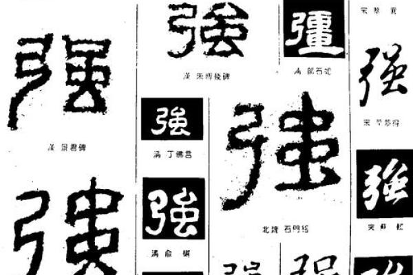 强字起名的公司(公司起名强字开头有哪些)