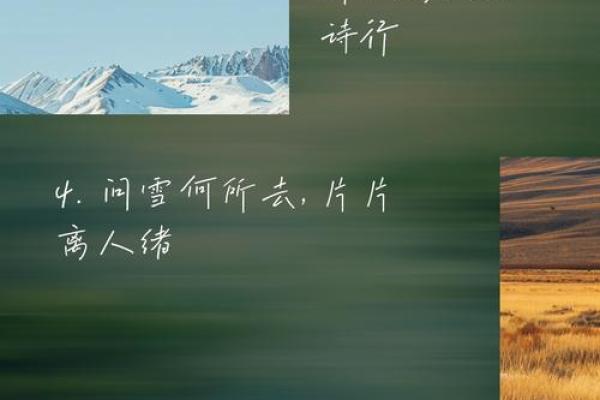 以雪取公司名称(以雪取公司名称的寓意)
