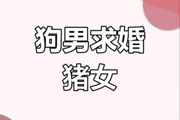 94年属狗结婚吉日