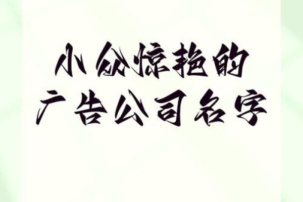 注册广告公司名字大全(注册广告公司名字大全最新)