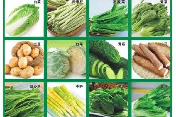 好听的蔬菜公司名(好听的蔬菜公司名字)