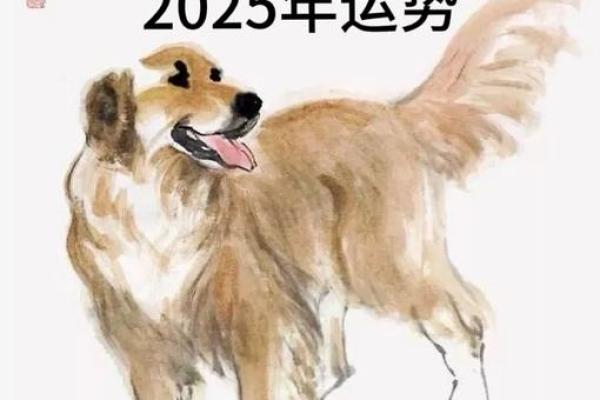 2025年3月份属狗适合安门吉日一览表_生肖狗在2025年的运势以及注意月份