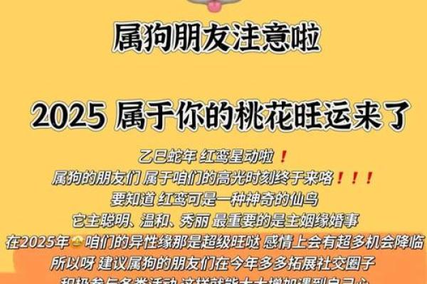 2025年3月份属狗适合安门吉日一览表_生肖狗在2025年的运势以及注意月份